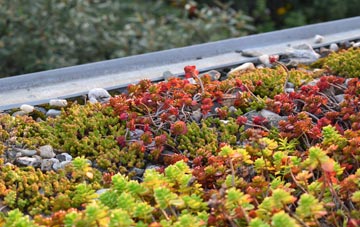 the cost of Kingsthorpe green roof installation