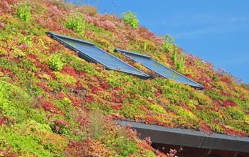 Kingsthorpe living roof systems